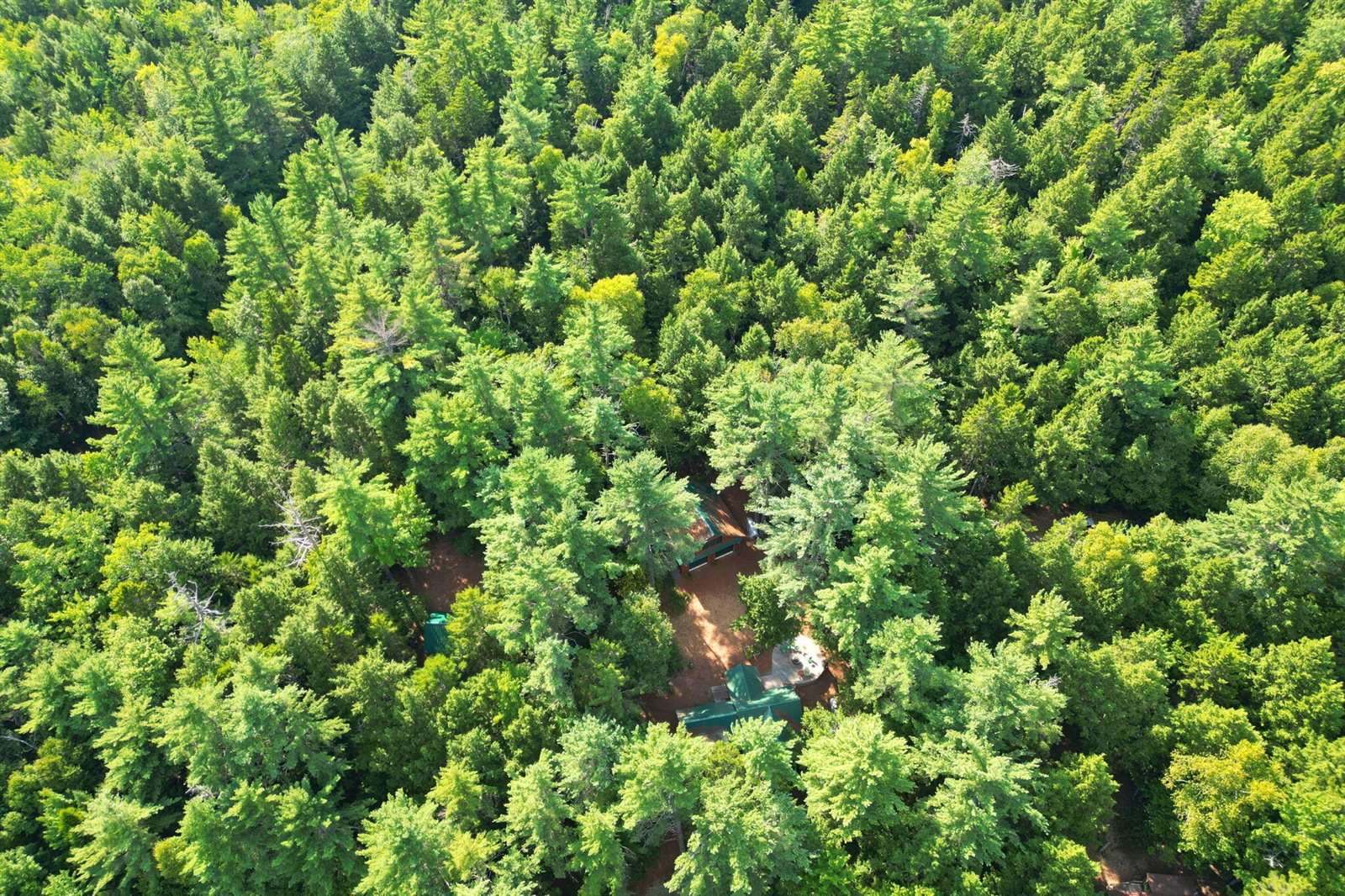 44 Hill Lane, Beddington, ME 04622