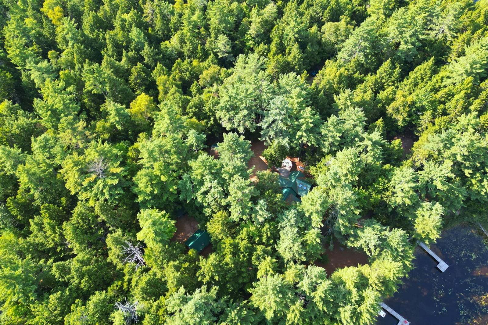 44 Hill Lane, Beddington, ME 04622