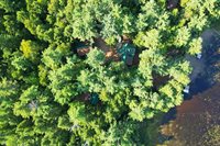 44 Hill Lane, Beddington, ME 04622