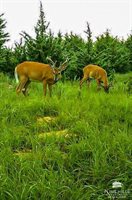 6131 Old Milford Road, Milford, KS 66514