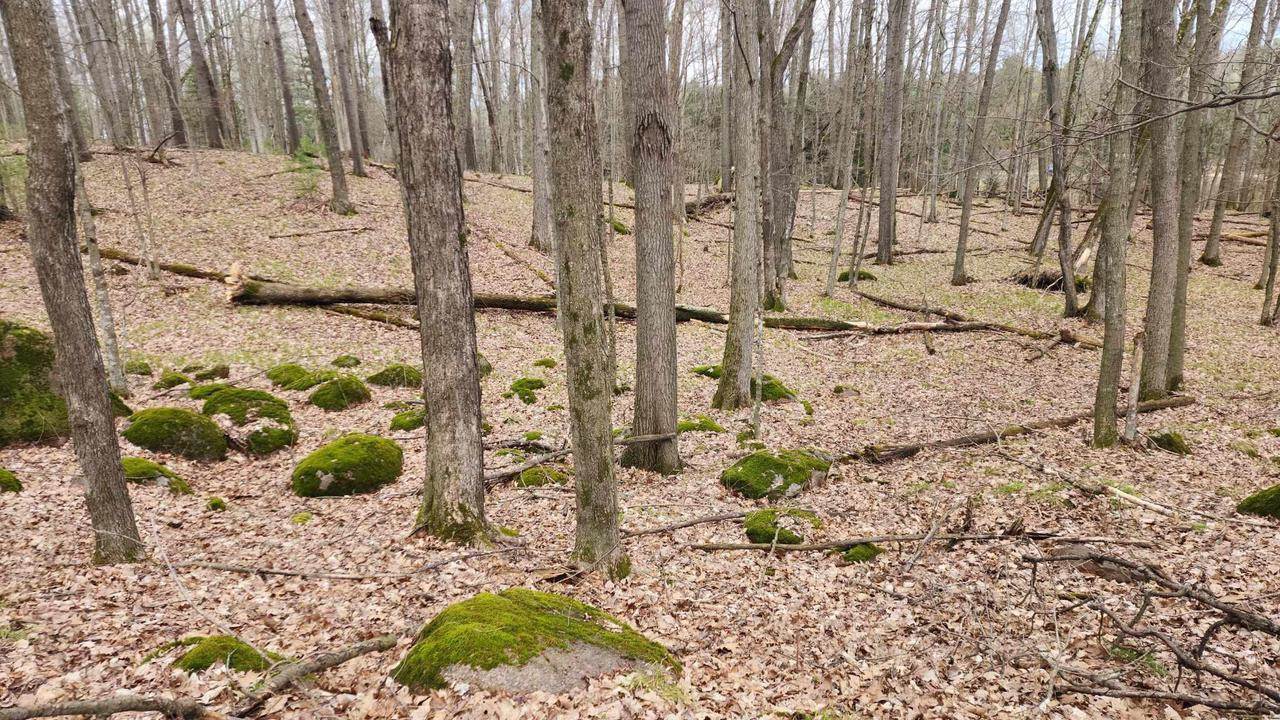 2720 Linden Road, Rosholt, WI 54473