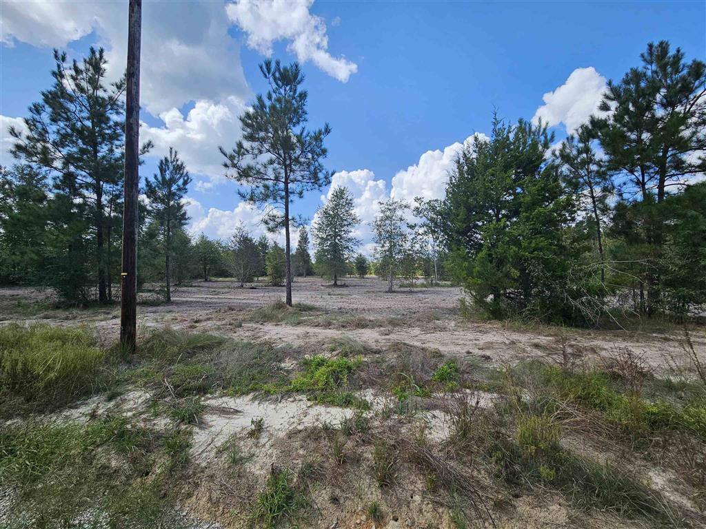 Marcantel Road, Dequincy, LA 70633