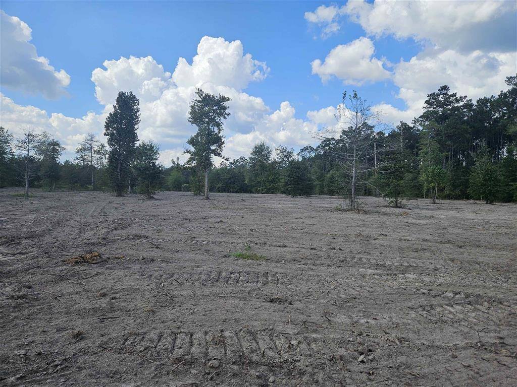 Marcantel Road, Dequincy, LA 70633