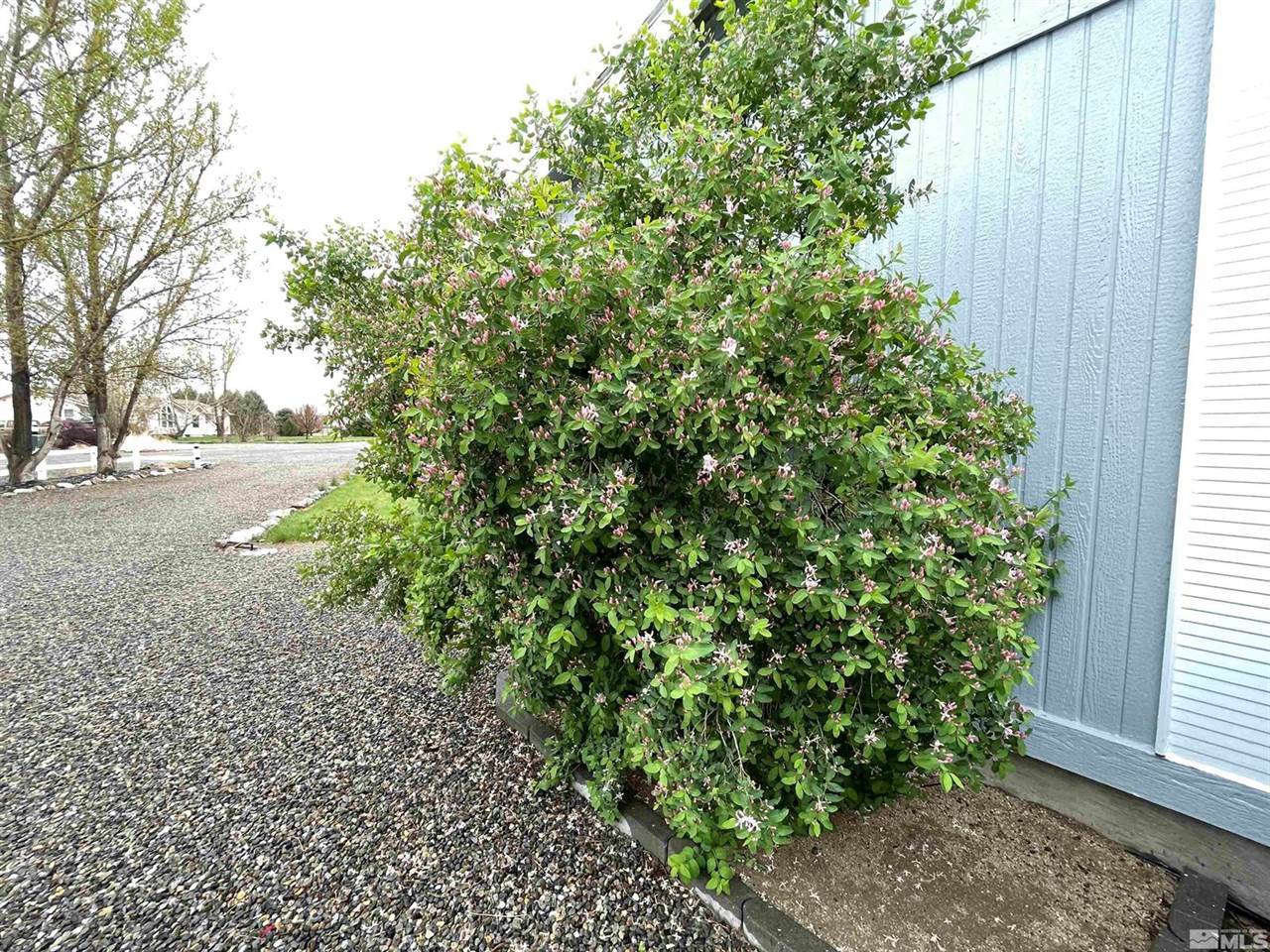 3075 Cougar Court, Winnemucca, NV 89445