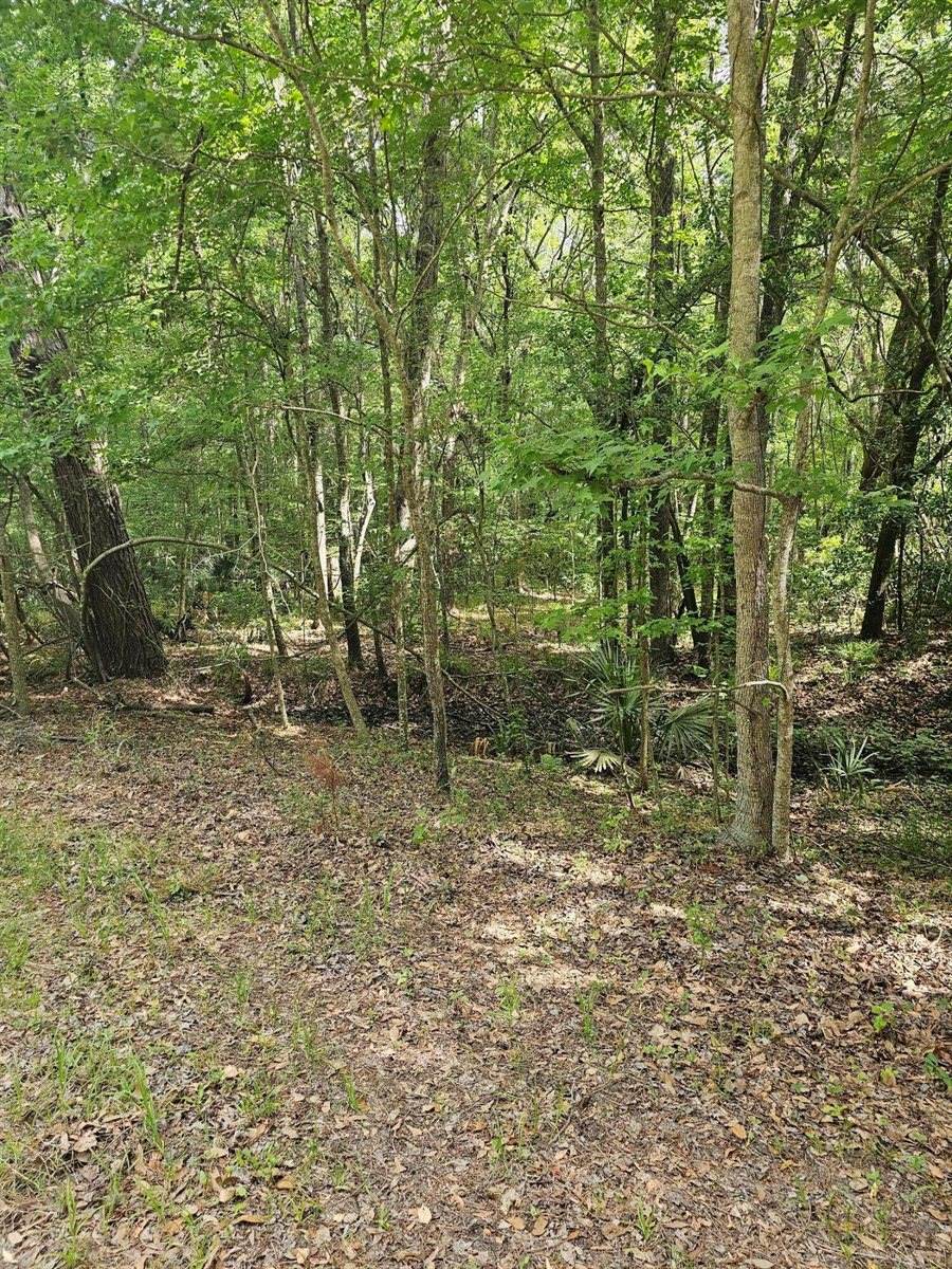 3910 Benjamin Road, Johns Island, SC 29455