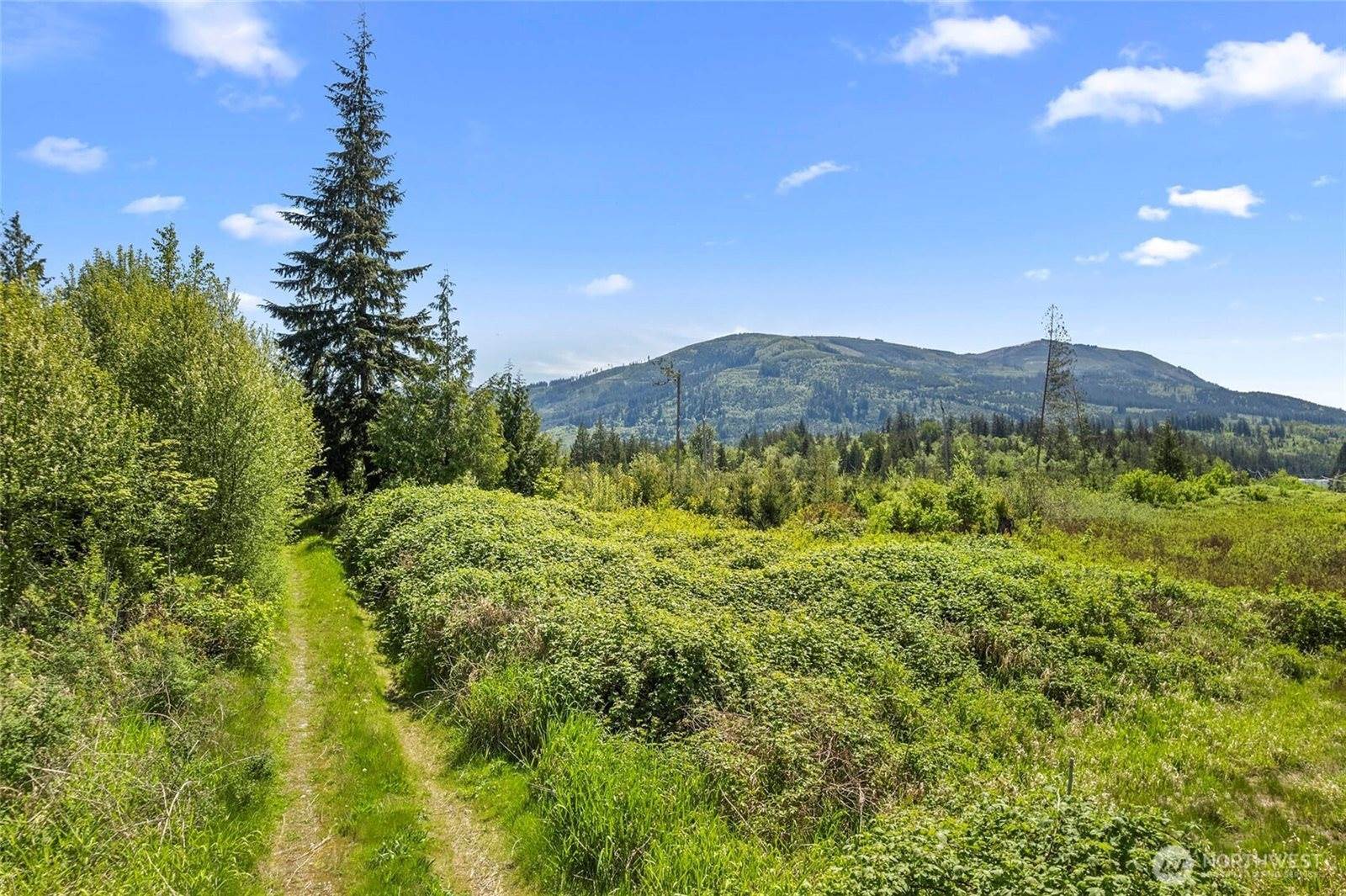 11305 Skagit View Drive, Sedro Woolley, WA 98284