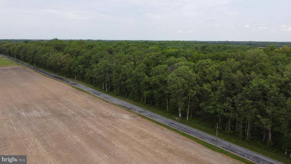 Lot 11 Cedar Grove Church Road, Felton, DE 19943