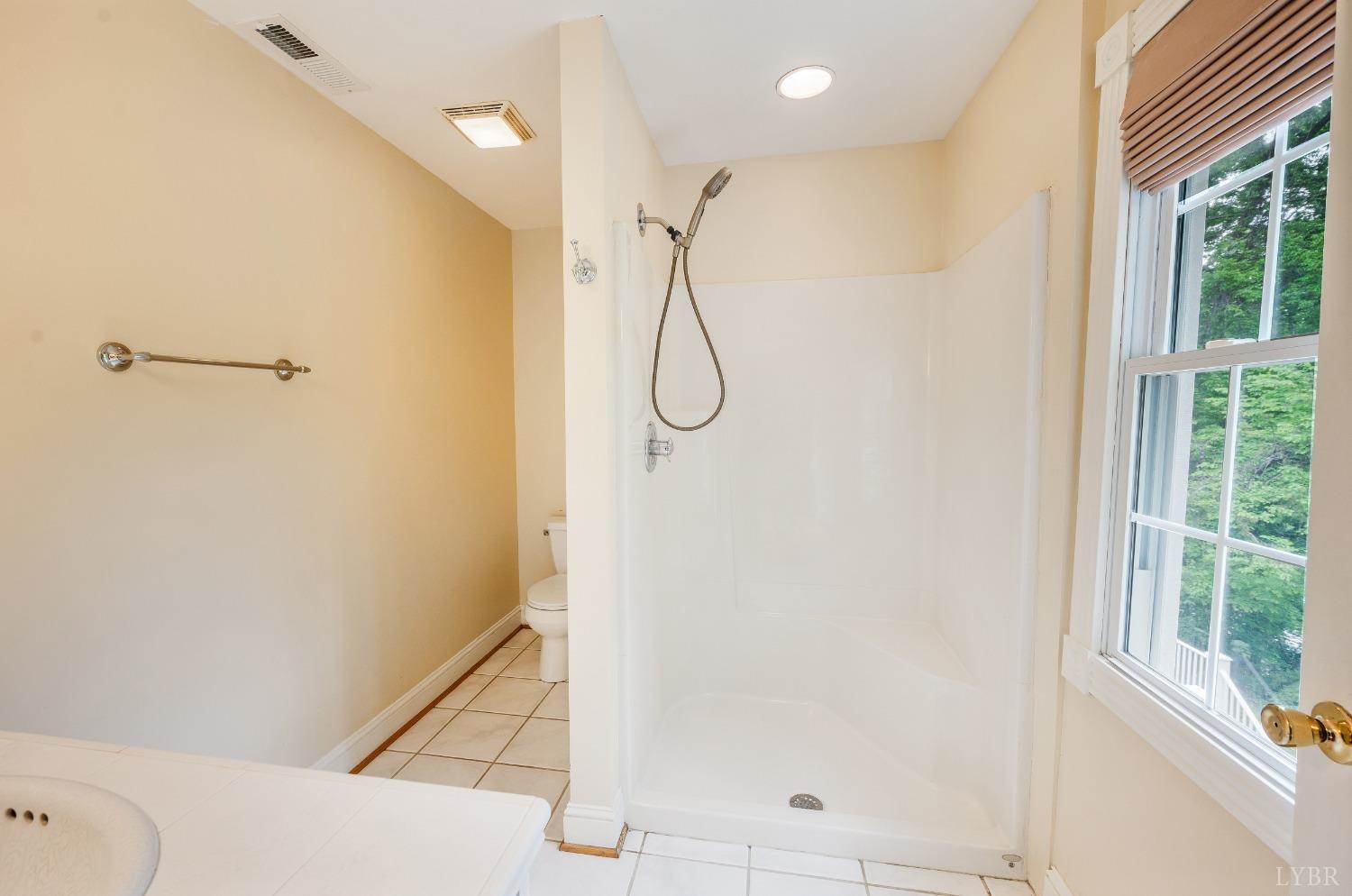 216 Trents Landing Road, Madison Heights, VA 24572