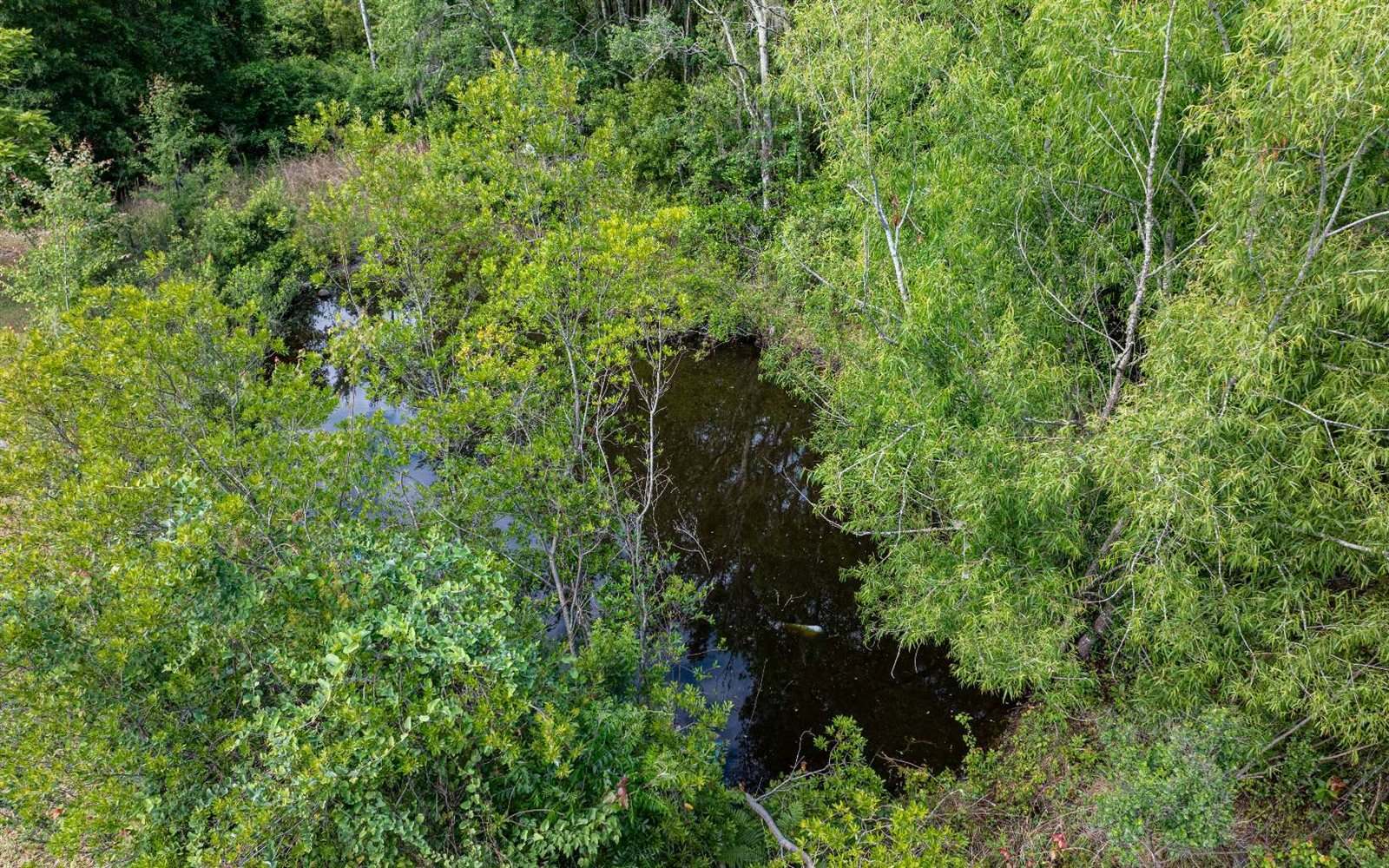 1216 SE Myrtis Road, Lake City, FL 32024