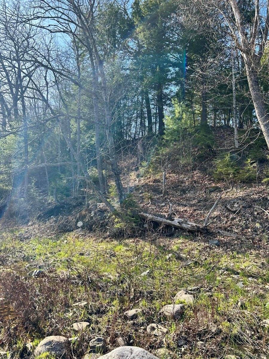 M8/L33-7 Monson Junction Lane, Abbot, ME 04406