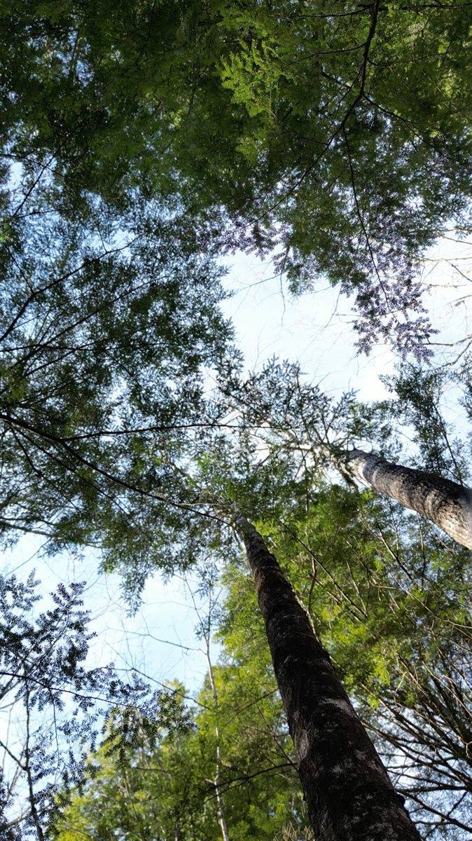 M8/L33-7 Monson Junction Lane, Abbot, ME 04406