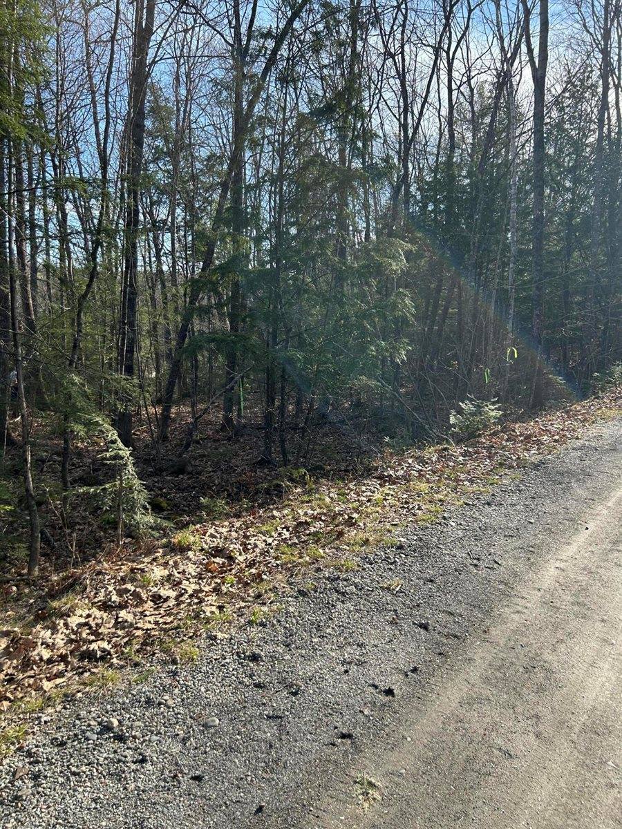 M8/L33-7 Monson Junction Lane, Abbot, ME 04406