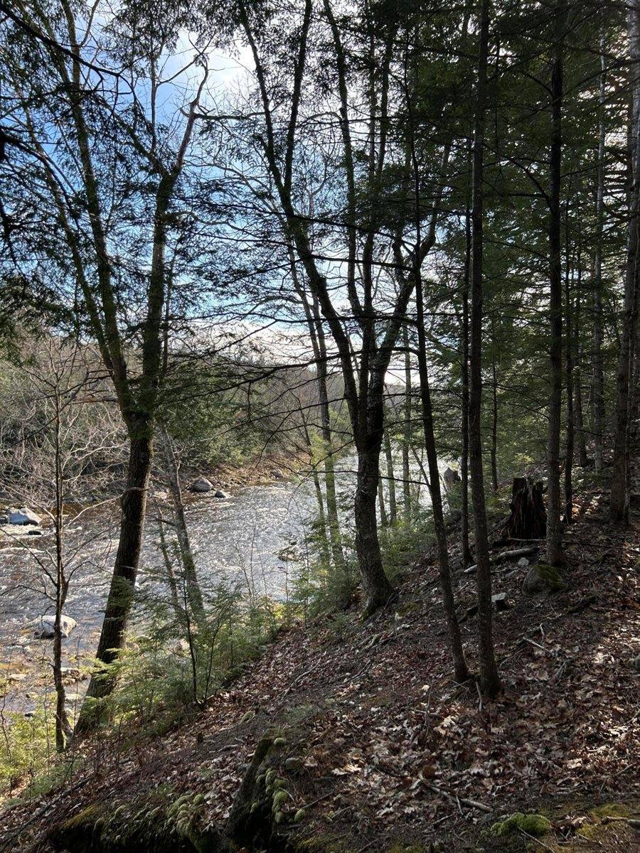 M8/L33-7 Monson Junction Lane, Abbot, ME 04406