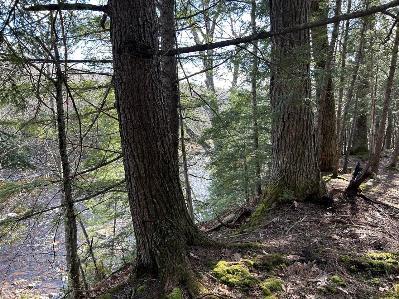 M8/L33-7 Monson Junction Lane, Abbot, ME 04406