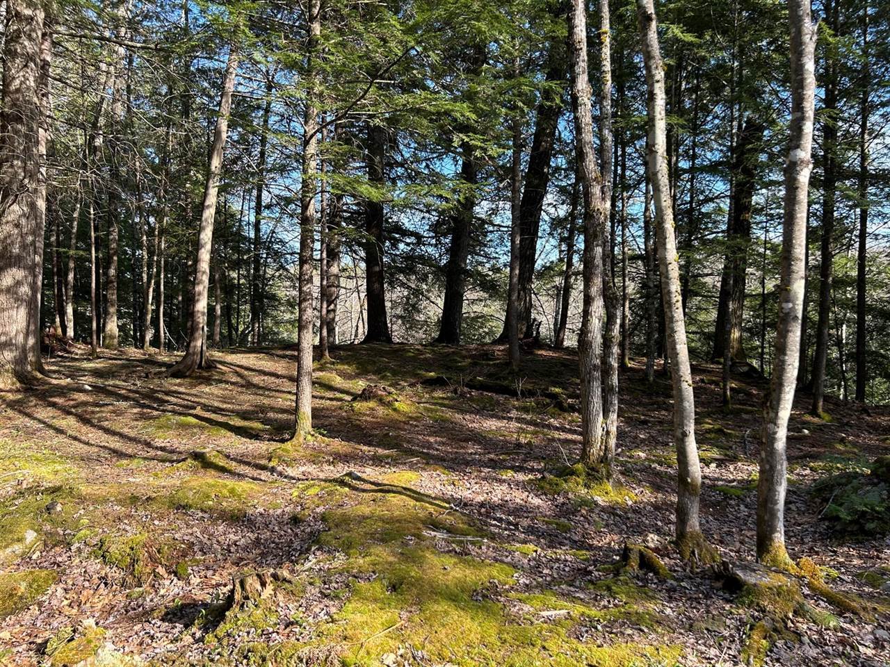 M8/L33-7 Monson Junction Lane, Abbot, ME 04406