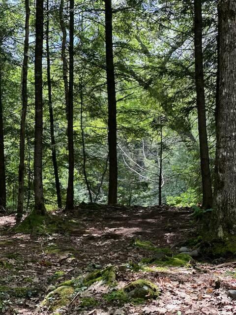 M8/L33-7 Monson Junction Lane, Abbot, ME 04406