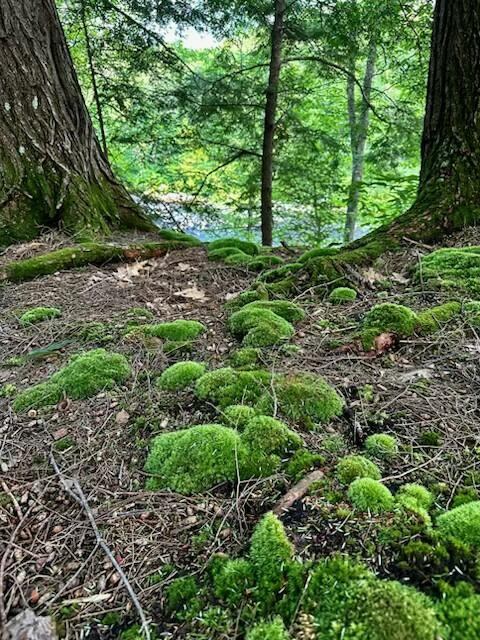 M8/L33-7 Monson Junction Lane, Abbot, ME 04406