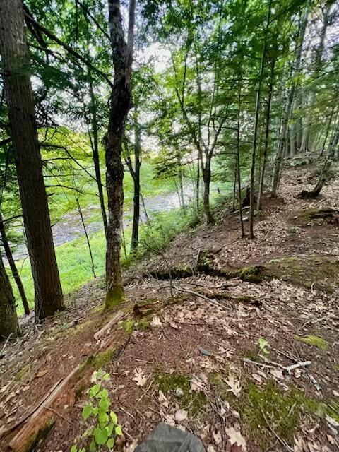 M8/L33-7 Monson Junction Lane, Abbot, ME 04406