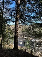 M8/L33-7 Monson Junction Lane, Abbot, ME 04406