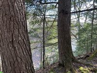 M8/L33-7 Monson Junction Lane, Abbot, ME 04406