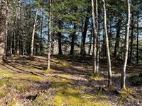 M8/L33-7 Monson Junction Lane, Abbot, ME 04406