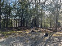 M8/L33-7 Monson Junction Lane, Abbot, ME 04406