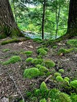 M8/L33-7 Monson Junction Lane, Abbot, ME 04406