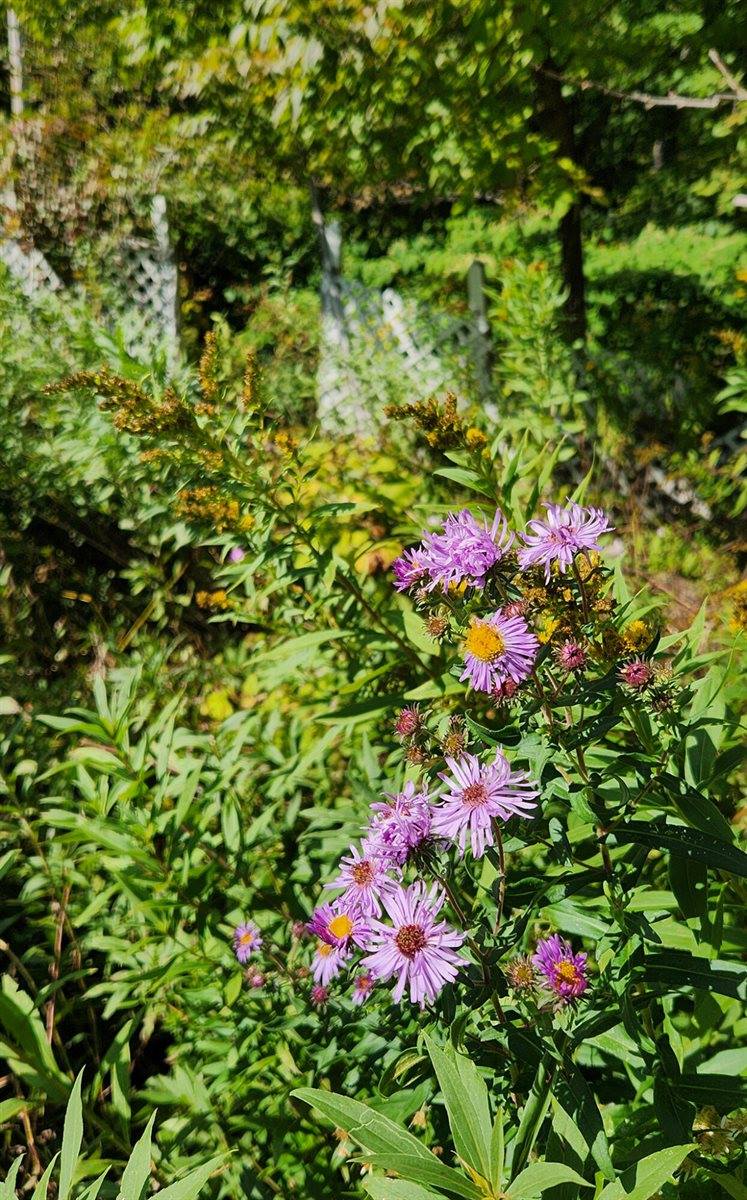 753 Sebec Village Road, Sebec, ME 04481