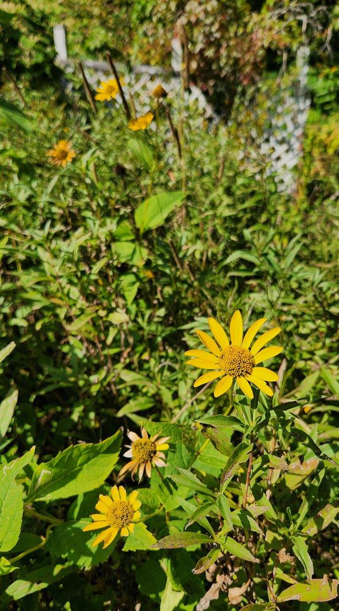 753 Sebec Village Road, Sebec, ME 04481