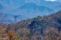1260 Ski View Drive, Gatlinburg, TN 37738
