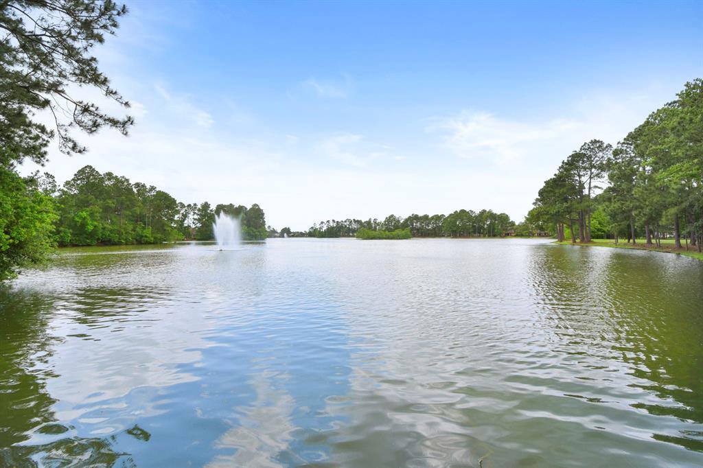 20906 Imperial Ridge Lane, Spring, TX 77379