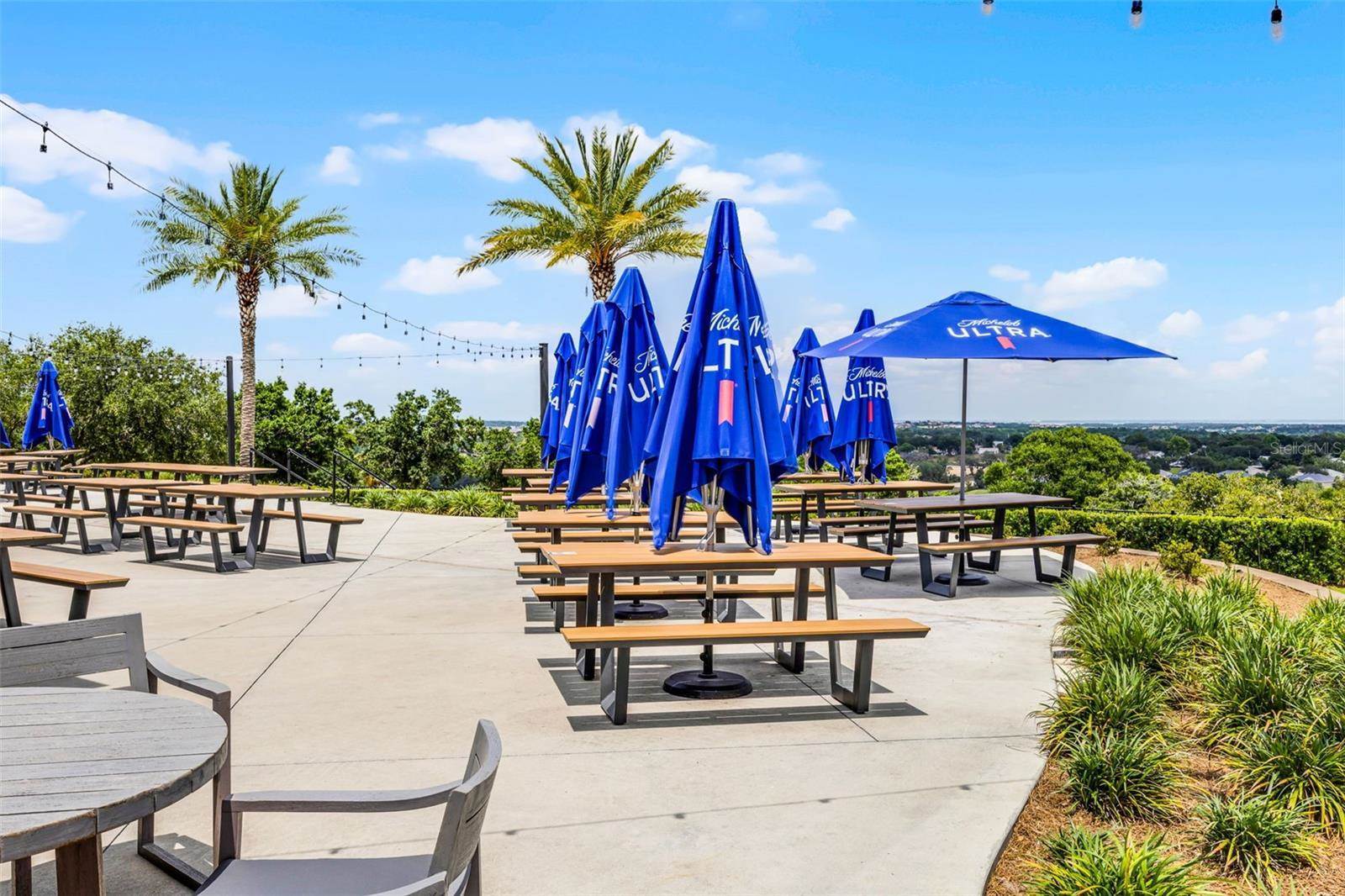 3008 Pinnacle Court, Clermont, FL 34711