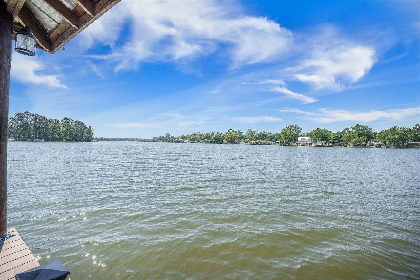 1537 Litzler Drive, Manning, SC 29102