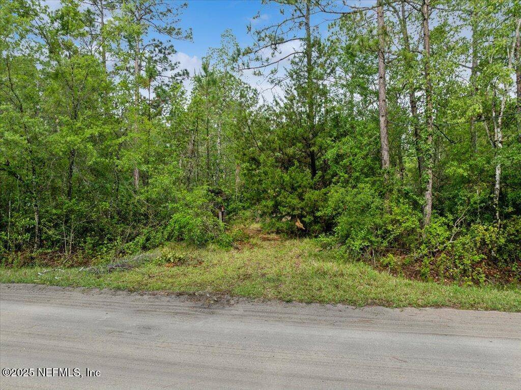 1756 Hazelnut Street, Bunnell, FL 32110