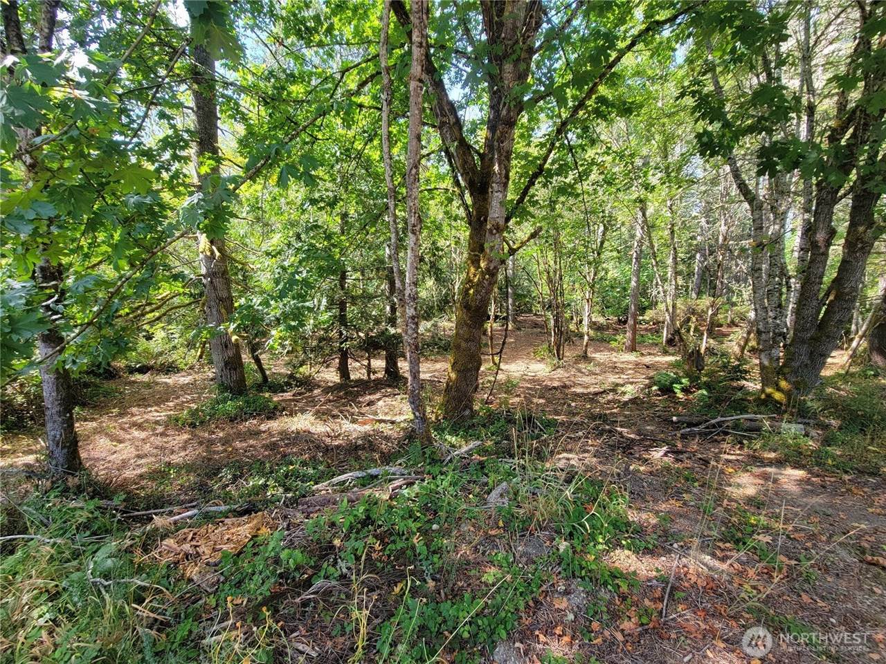 900 East Wilson Way, Grapeview, WA 98546