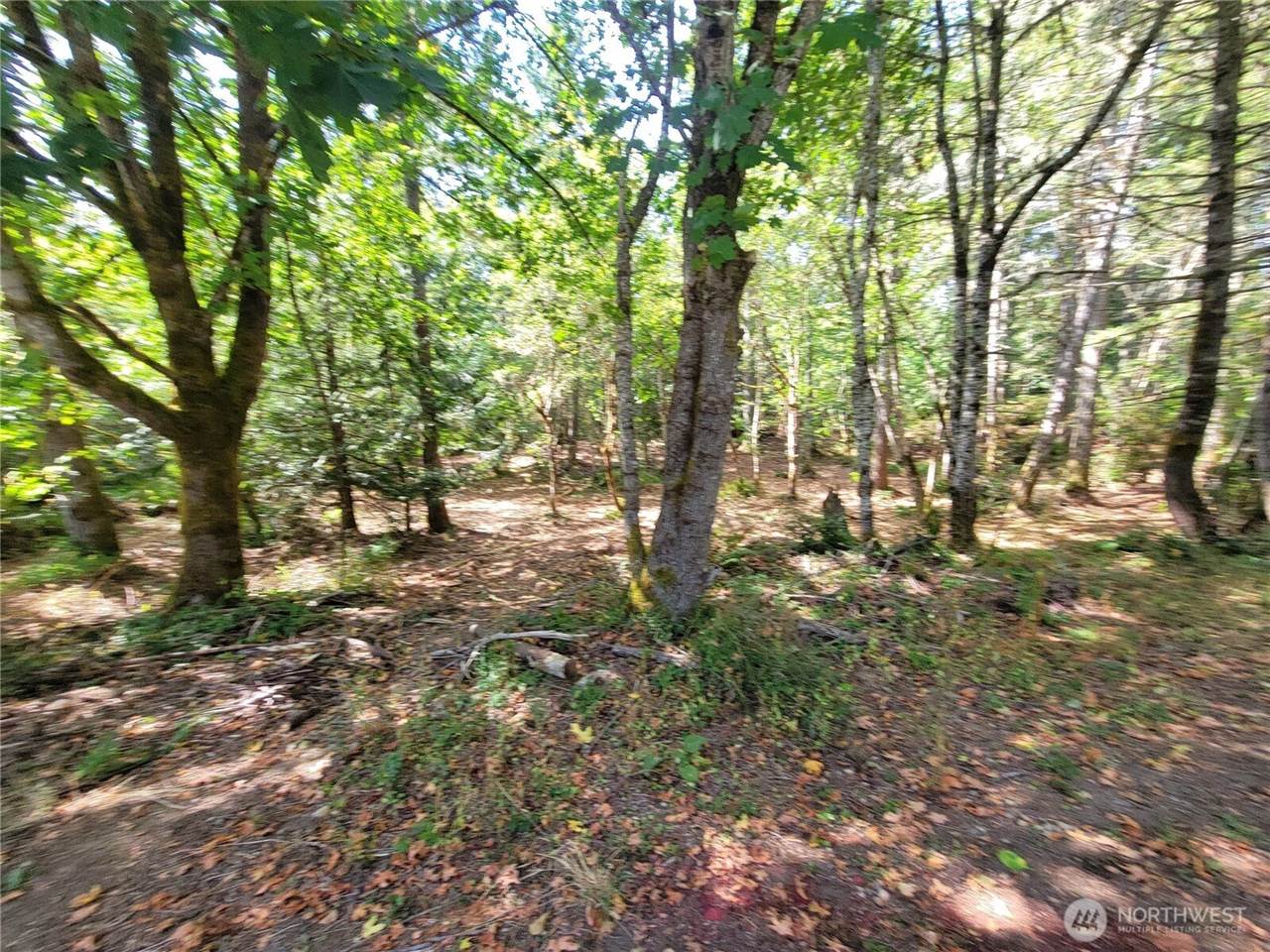 900 East Wilson Way, Grapeview, WA 98546