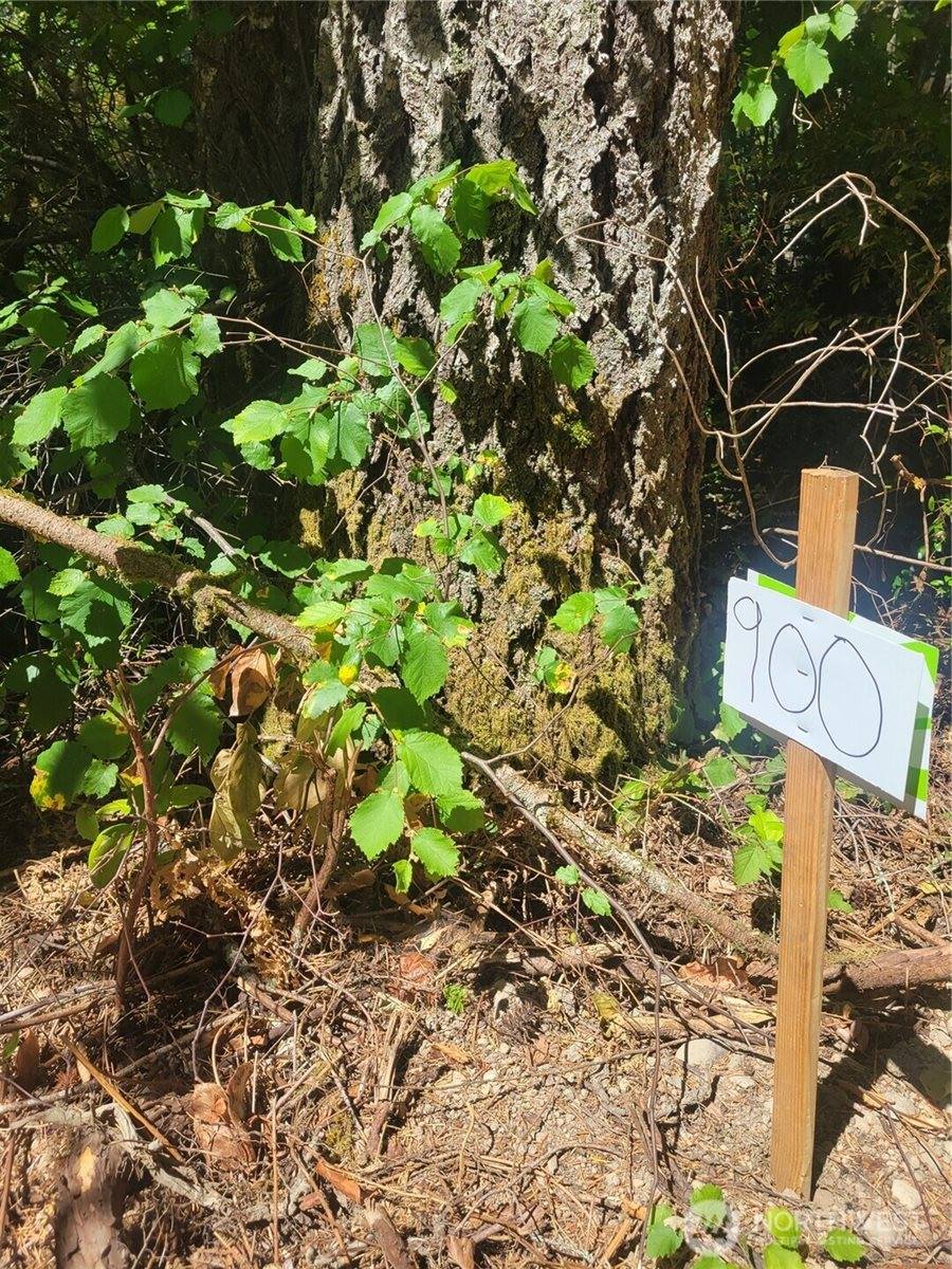 900 East Wilson Way, Grapeview, WA 98546