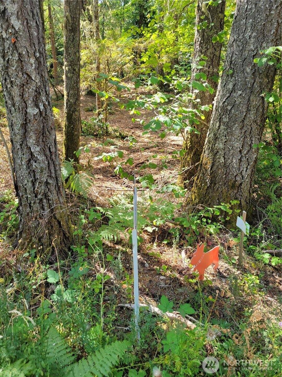 900 East Wilson Way, Grapeview, WA 98546