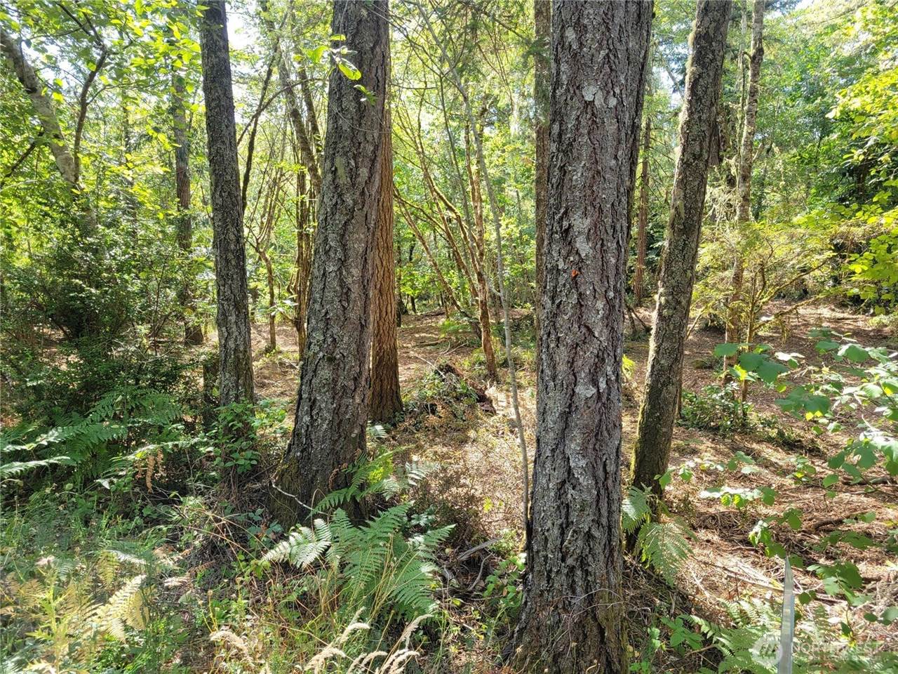 900 East Wilson Way, Grapeview, WA 98546