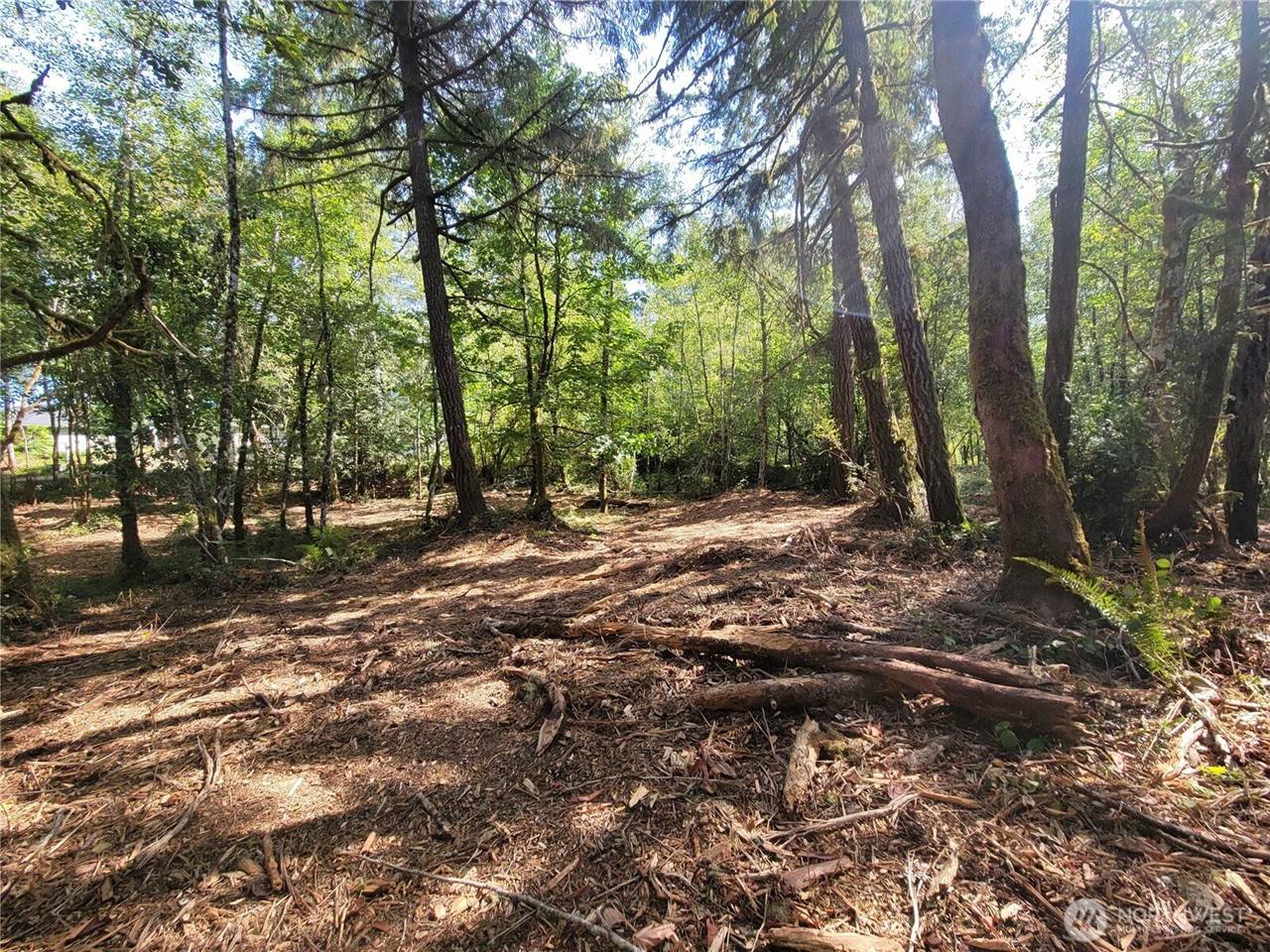 900 East Wilson Way, Grapeview, WA 98546