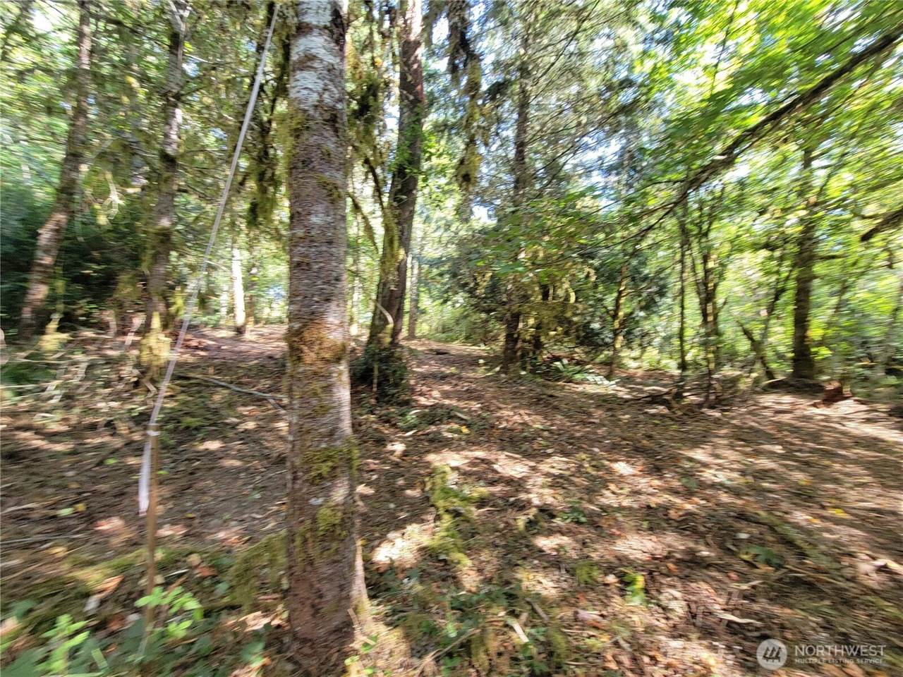 900 East Wilson Way, Grapeview, WA 98546