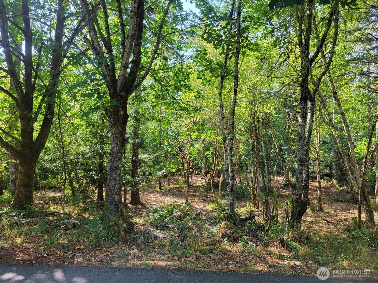 900 East Wilson Way, Grapeview, WA 98546