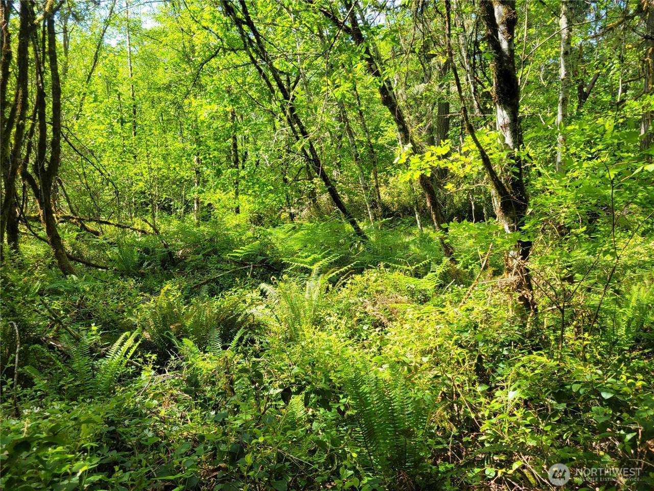 900 East Wilson Way, Grapeview, WA 98546