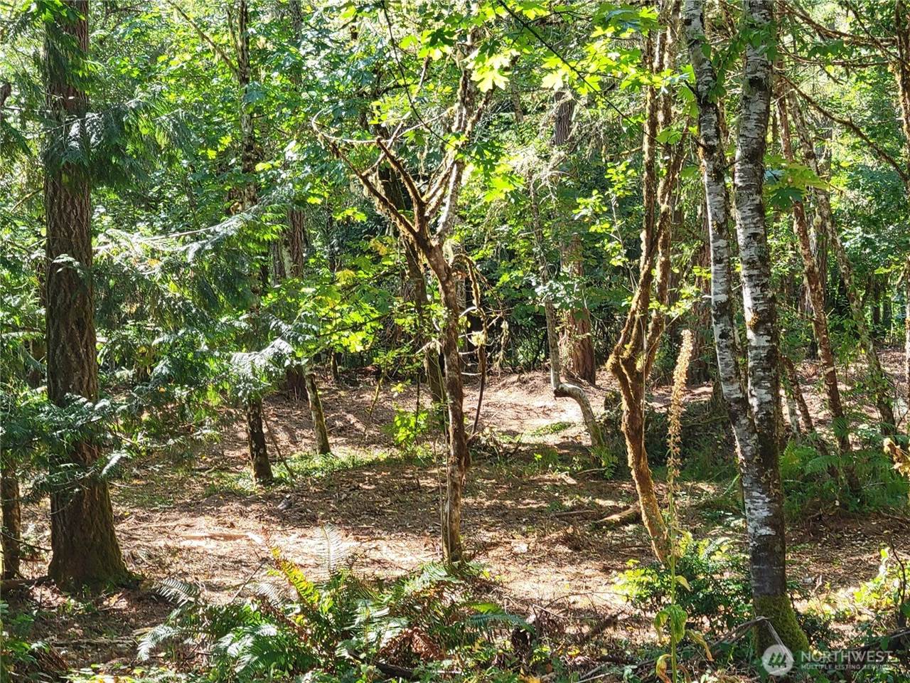 900 East Wilson Way, Grapeview, WA 98546