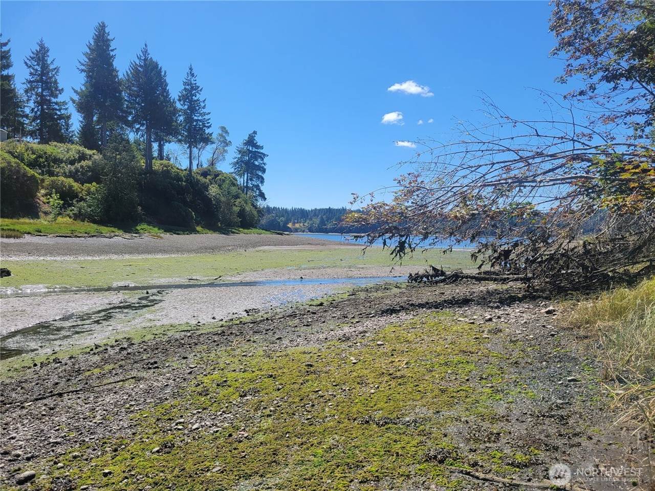 900 East Wilson Way, Grapeview, WA 98546