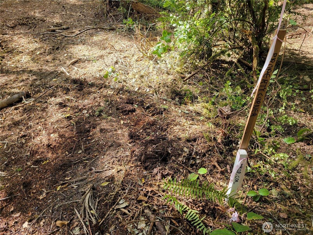 900 East Wilson Way, Grapeview, WA 98546