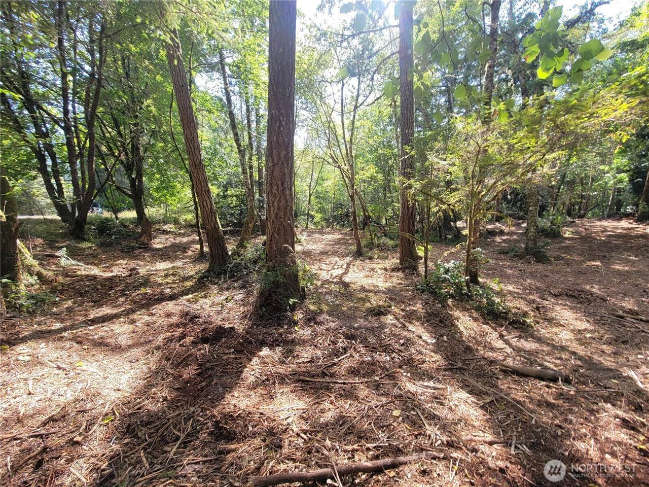 900 East Wilson Way, Grapeview, WA 98546