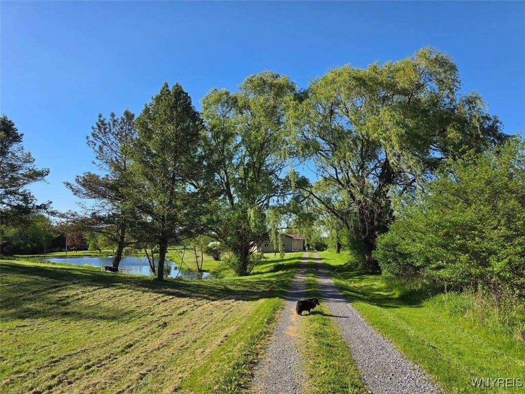 2669 Town Line Road, Mt Morris, NY 14517