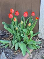 1601 North College Ave, Fort Collins, CO 80524