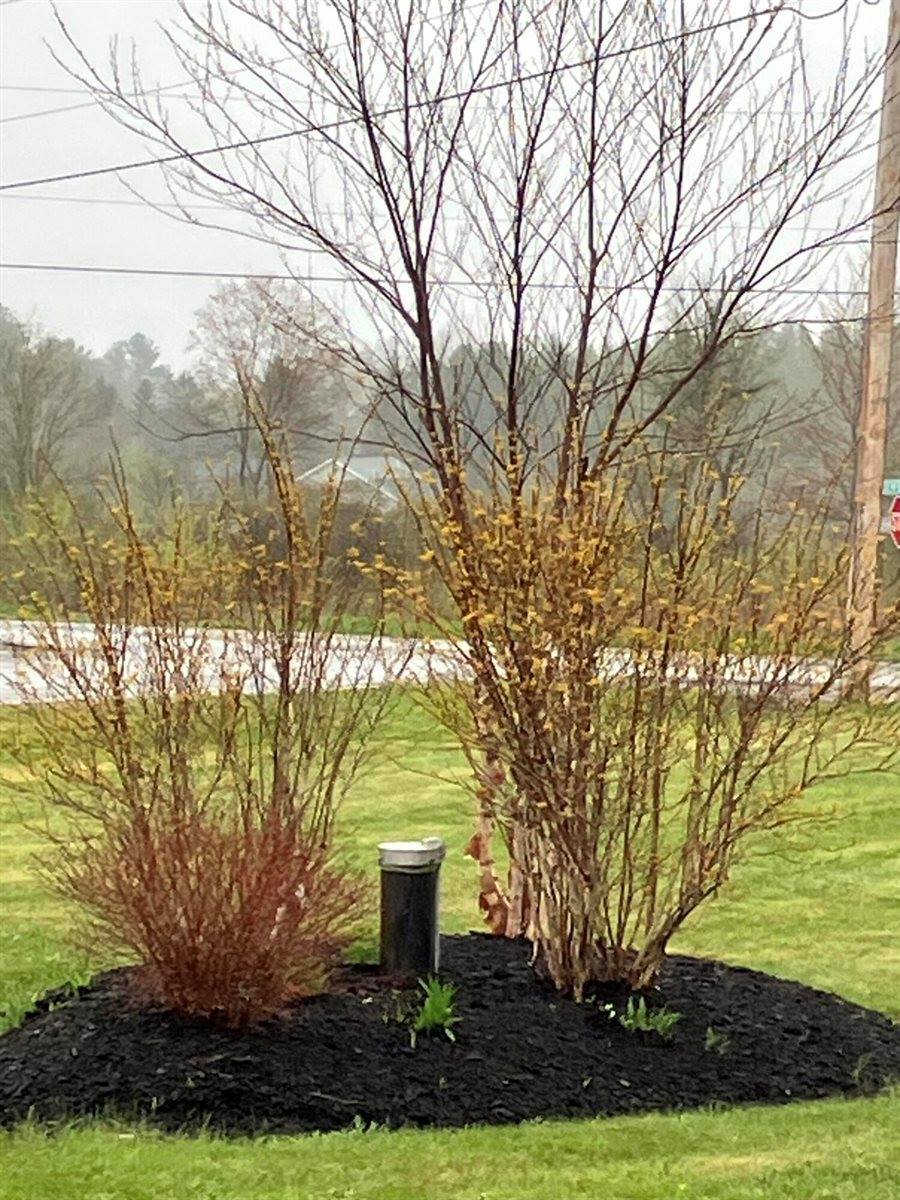 111 Amberside Drive, Hermon, ME 04401